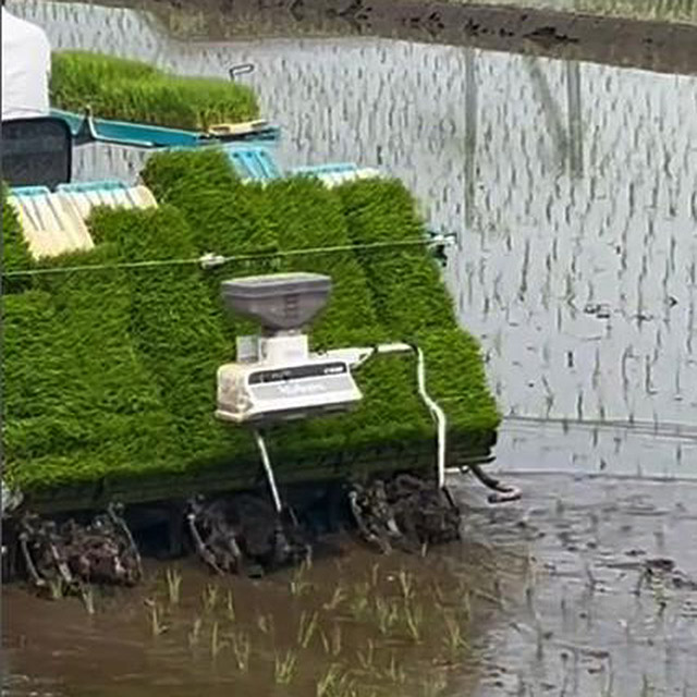 田植えの季節