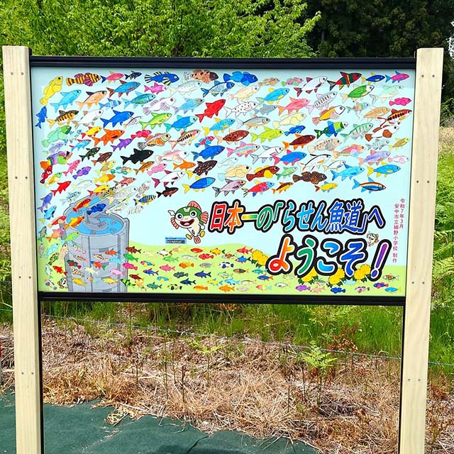 川の日